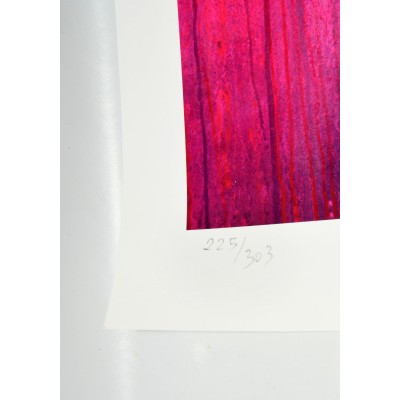 LAMINA PICHIAVO POSEIDON FIRMADA LAMINA PICHIAVO POSEIDON FIRMADA