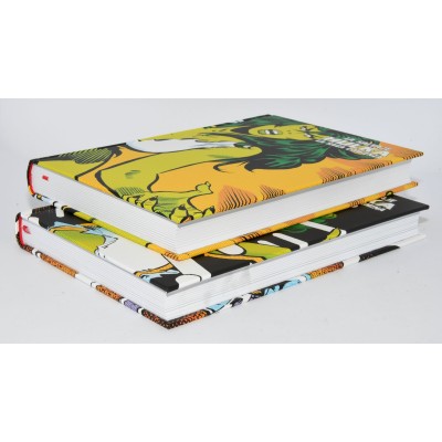 MARVEL LIMITED EDITION SAGA LA SALVAJE HULKA MARVEL LIMITED EDITION SAGA LA SALVAJE HULKA
